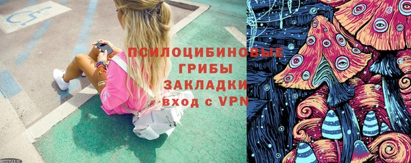 альфа пвп Надым