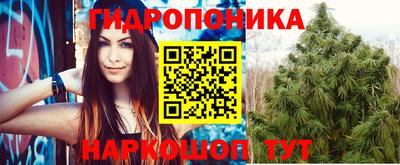 крисы Бугуруслан