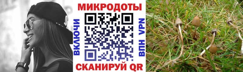 Галлюциногенные грибы мухоморы Липецк