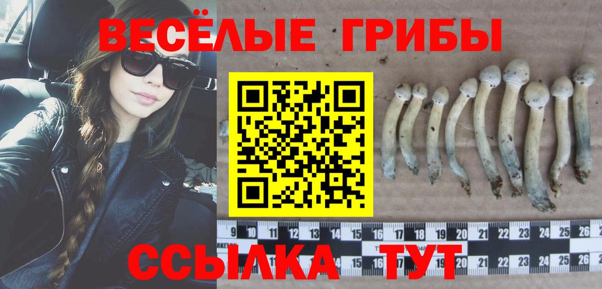 Псилоцибиновые грибы мухоморы  даркнет сайт  Вход с VPN  Липецк  Галлюциногенные грибы Cubensis 